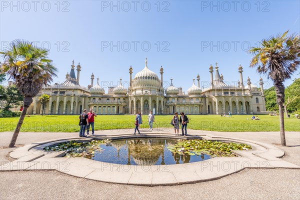 Water lilies in a small pond in front of Royal Pavilion Palace