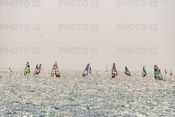 Many windsurfers with colourful sails
