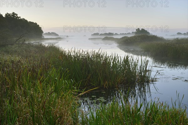 Foggy atmosphere at Leiner Lake