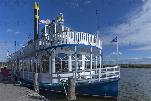 Paddle wheel steamer