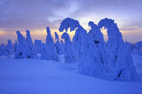 Morning atmosphere on the Brocken