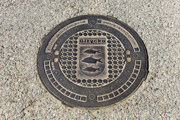 Gully cover