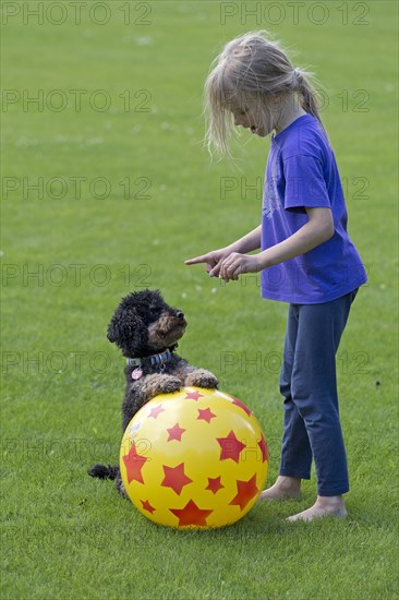 Little girl trains dog