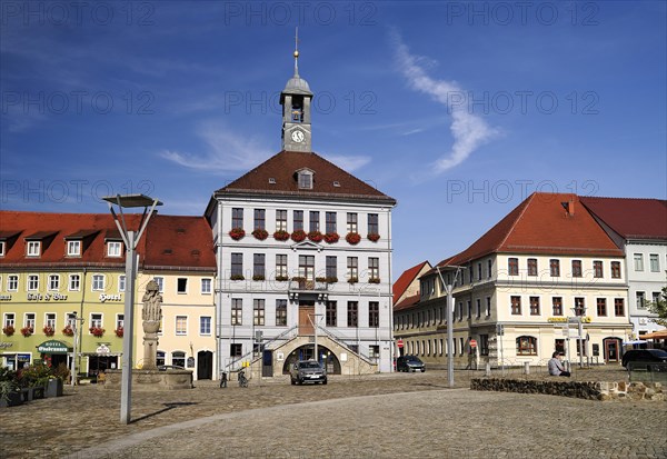 Town hall on the market place Altmarkt