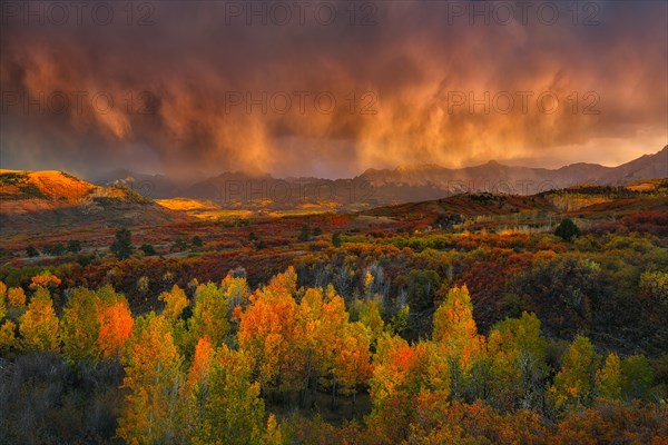 Low clouds