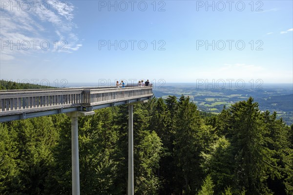 Waldwipfelweg