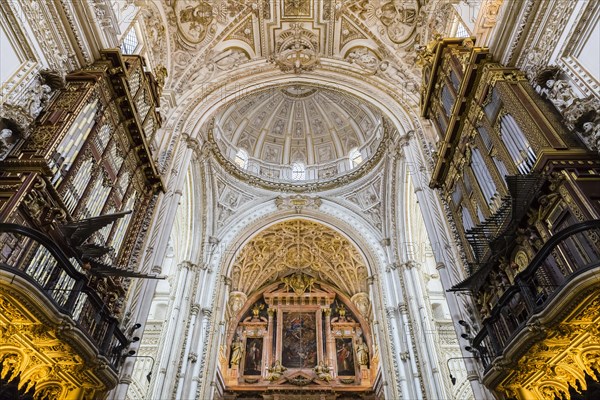 Dome