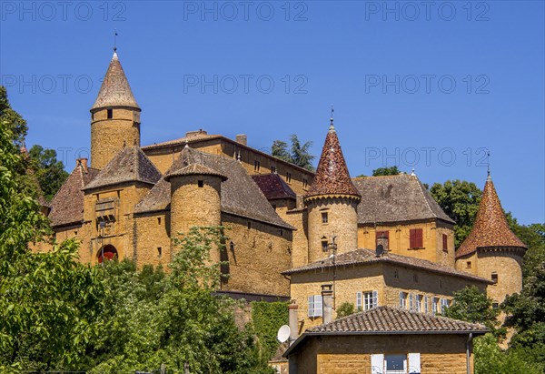 Castle of Jarnioux