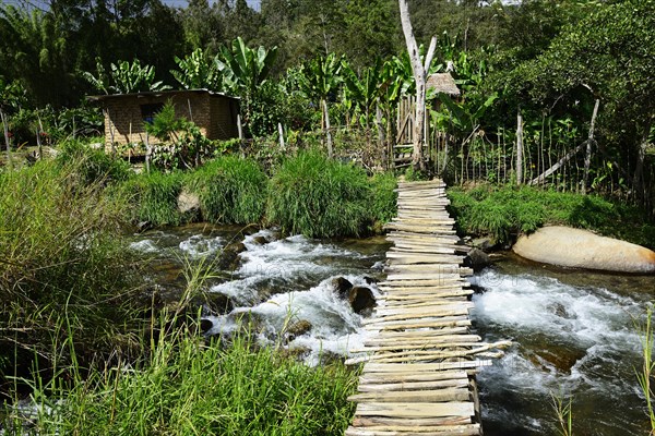 Wooden bridge over the river