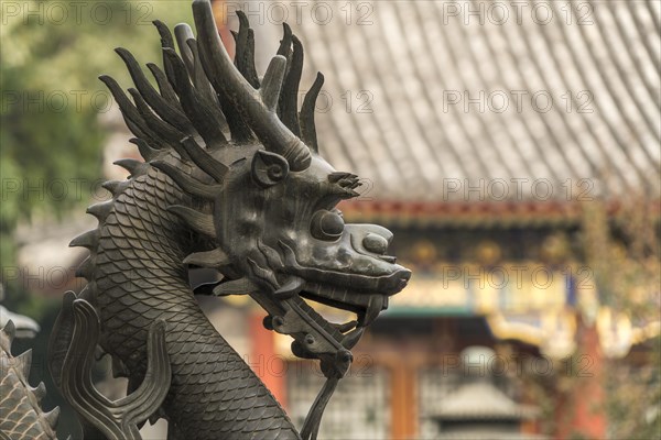 Guard dragon