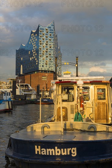 Elbphilharmonie and fishing boat