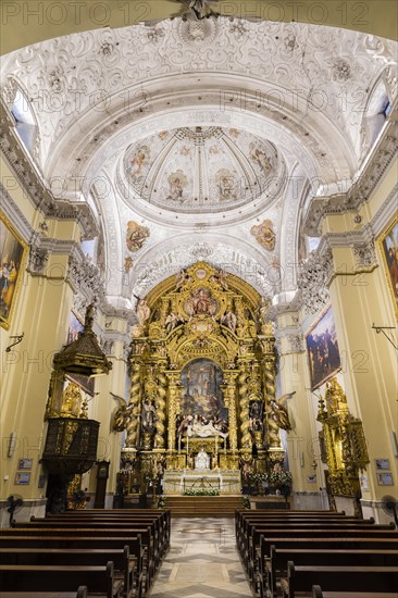 Nave