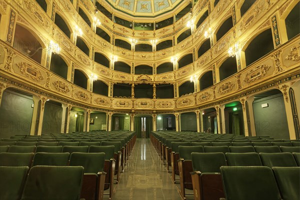 Gold decorated auditorium