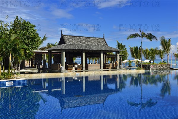 Pool with palm trees