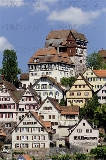 Cityscape with Castle Altensteig
