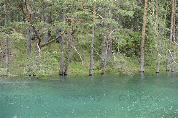 Green Lake
