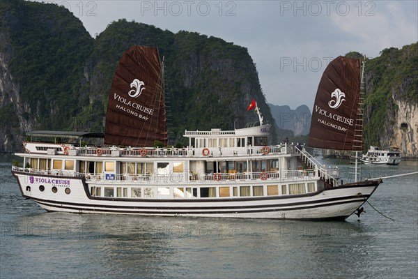 Tourist boat