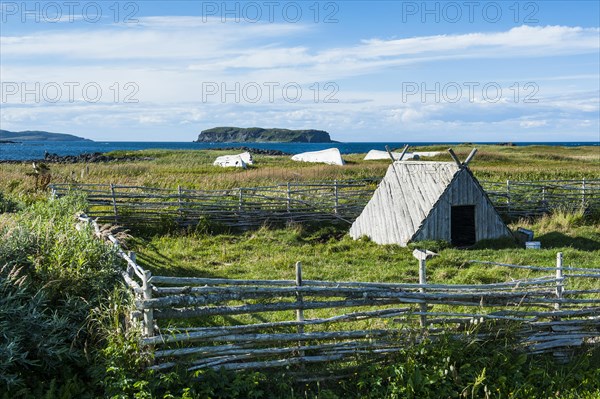 Little hut