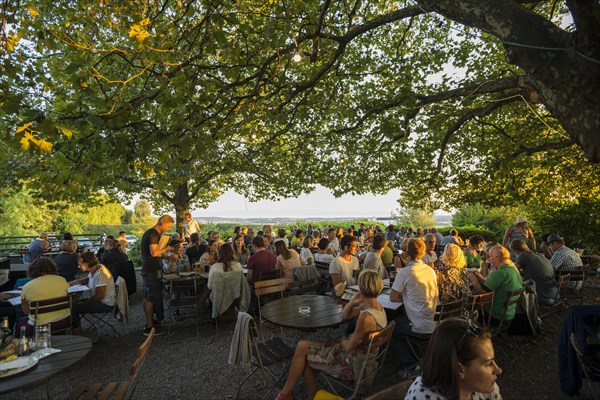 Beer garden