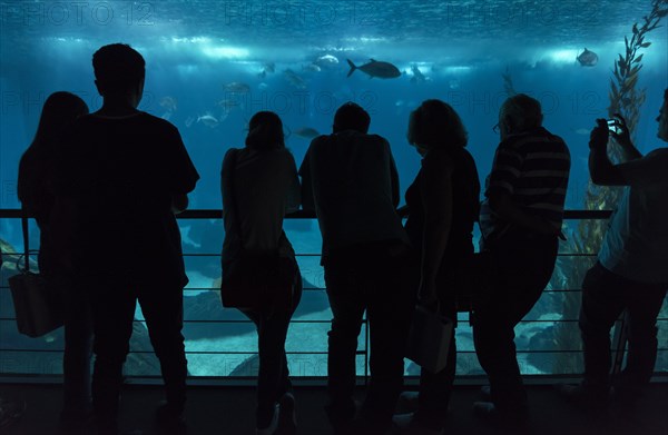 People inside Lisbon Oceanarium