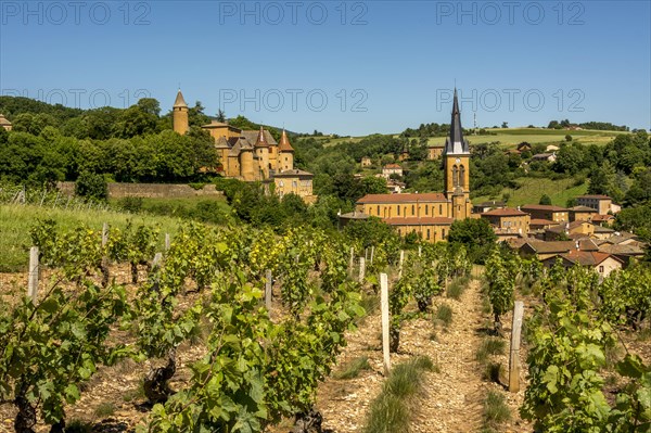 Castle and church of Jarnioux