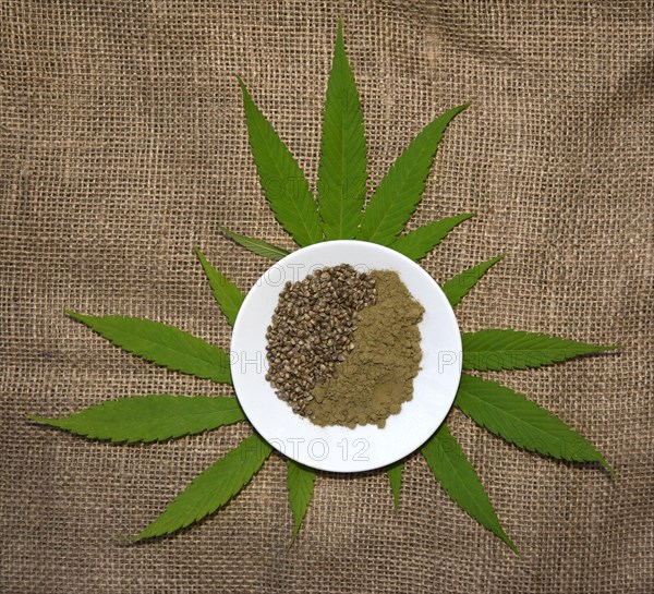 Hemp leaves (Cannabis) with hemp seeds and ground hempseed