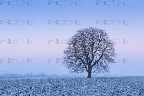 Cold winter morning