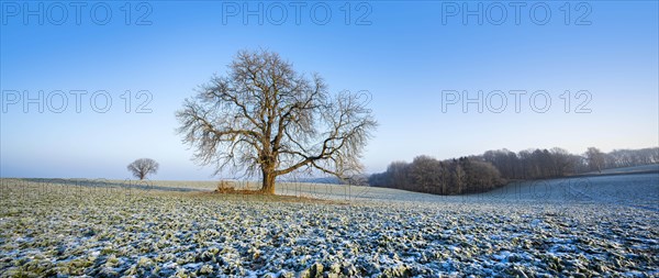 Cultural landscape in winter