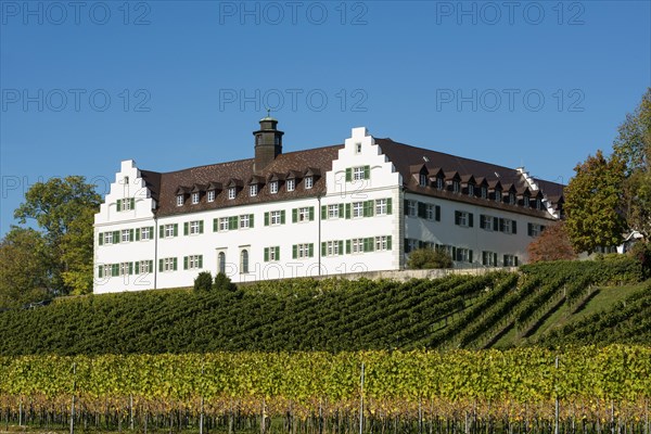 Hersberg Castle with vineyard