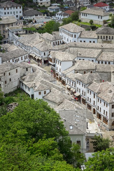 View from the castle to the roofs of the old town