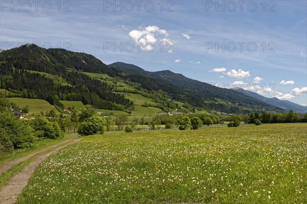 Trail in Paltental