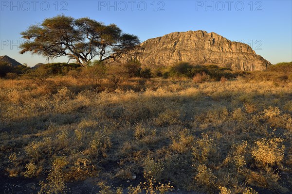 Male Hill