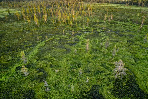 Drone view