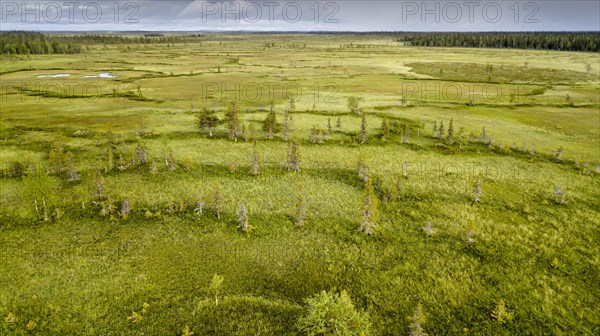 Drone view