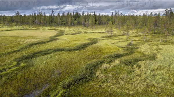Drone view