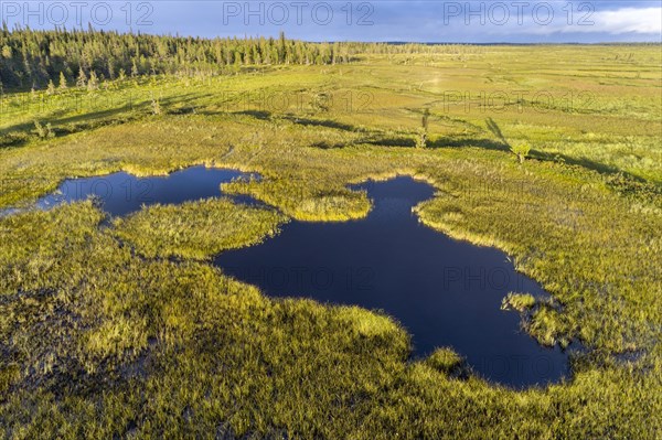 Drone view
