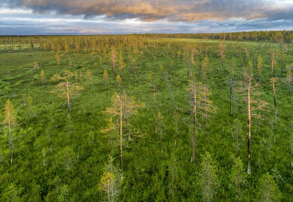 Drone view