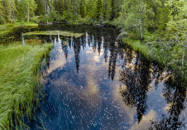 Drone view