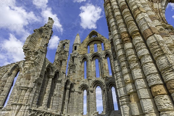 Ruin of the Abbey of Whitby