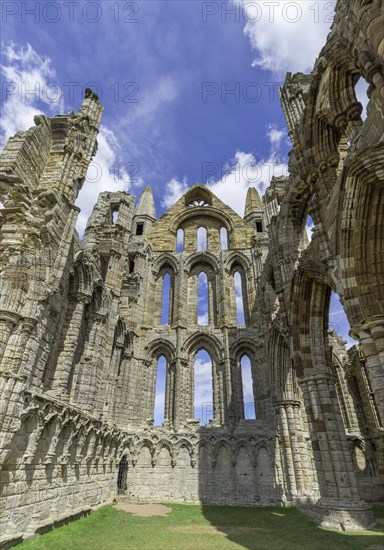Ruin of the Abbey of Whitby