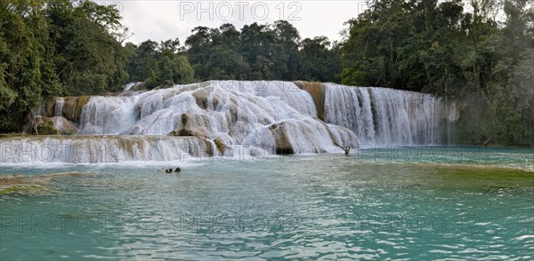 Cataratas de Agua Azul