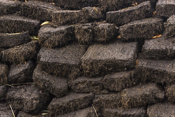 Stacked cut peat in raised bog