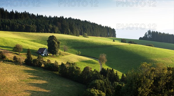 Lonely farmhouse in hilly landscape