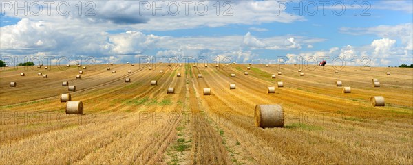 Panorama