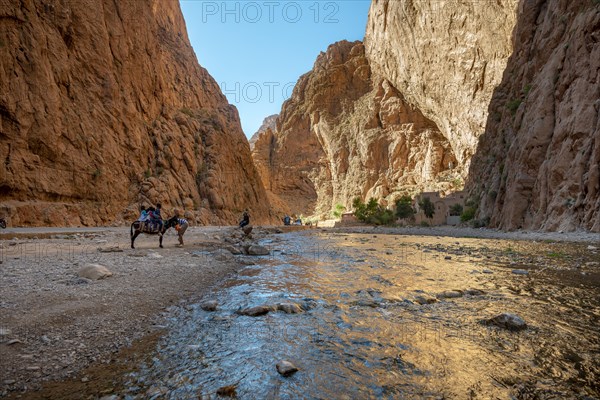 Gorges Toudra or Todgha Gorge