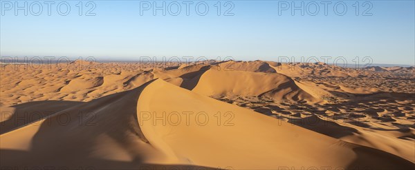 Sand dunes in the desert
