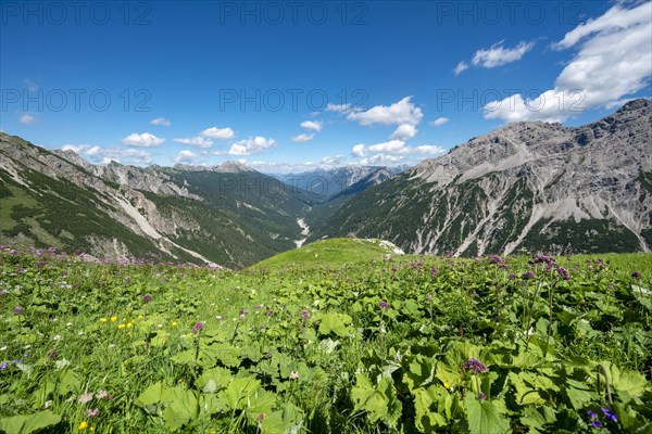 View into the valley of the Schwarzwasserbach
