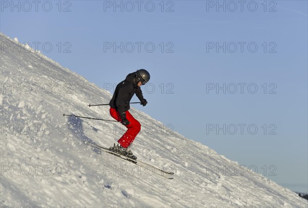 Skier