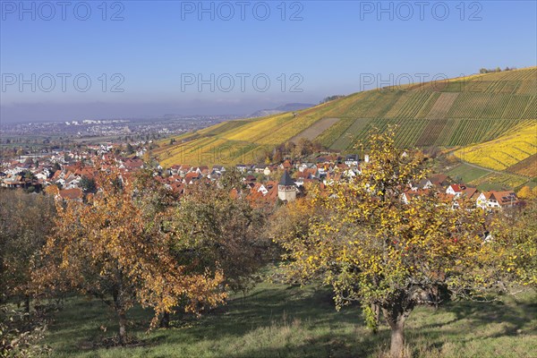 Strumpfelbach in autumn