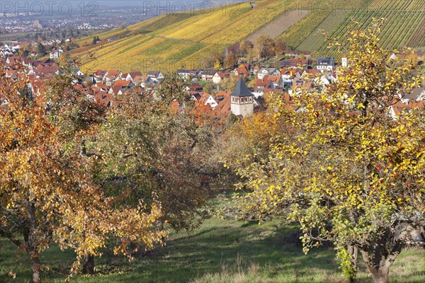 Strumpfelbach in autumn